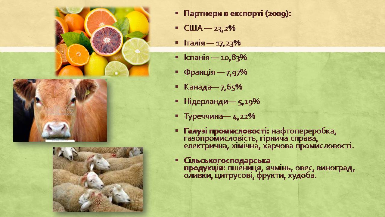 Презентація на тему «Алжирська Народна Демократична Республіка» - Слайд #10 Презентація на тему «Алжирська Народна Демократична Республіка» - Слайд #10
