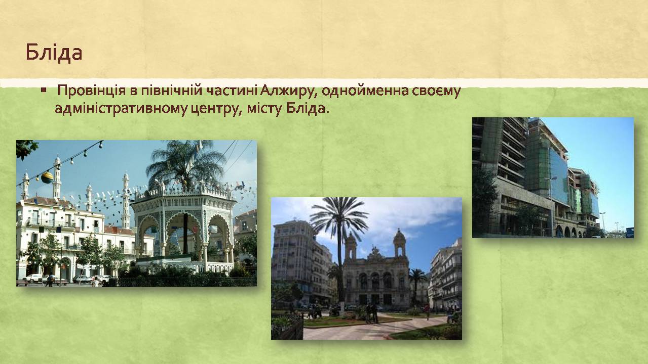 Презентація на тему «Алжирська Народна Демократична Республіка» - Слайд #19 Презентація на тему «Алжирська Народна Демократична Республіка» - Слайд #19