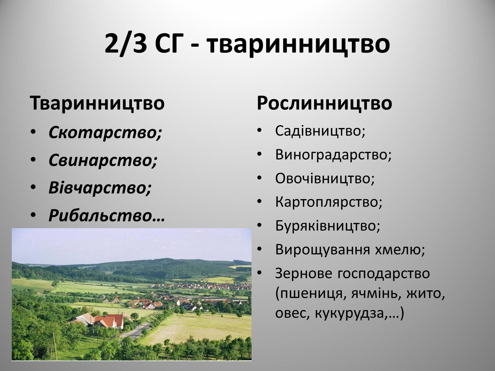 Презентація на тему «Федеративна Республіка Німеччина» (варіант 9) - Слайд #21 Презентація на тему «Федеративна Республіка Німеччина» (варіант 9) - Слайд #21