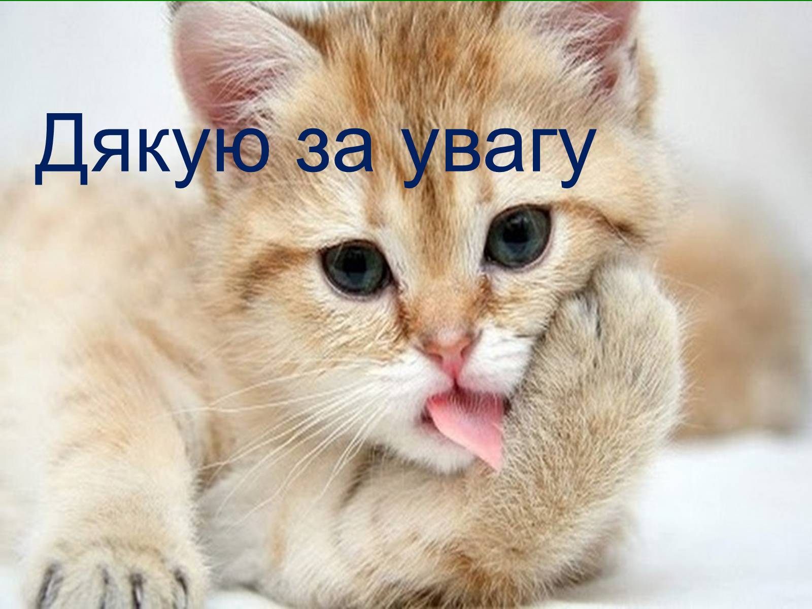 Презентація на тему «Глобальне потепління» (варіант 4) - Слайд #14 Презентація на тему «Глобальне потепління» (варіант 4) - Слайд #14