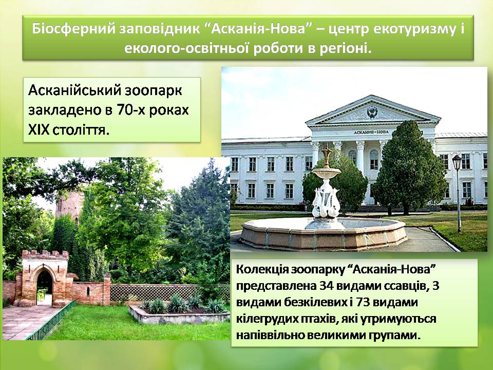 Презентація на тему «Біосферний заповідник «Асканія-Нова»» - Слайд #13 Презентація на тему «Біосферний заповідник «Асканія-Нова»» - Слайд #13