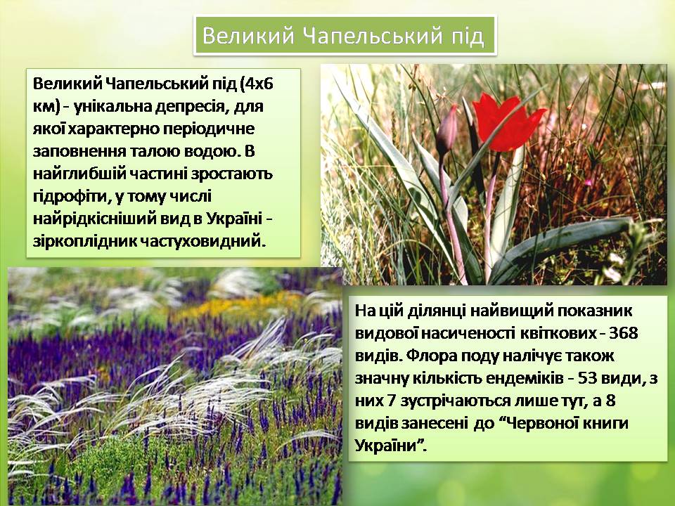 Презентація на тему «Біосферний заповідник «Асканія-Нова»» - Слайд #8 Презентація на тему «Біосферний заповідник «Асканія-Нова»» - Слайд #8