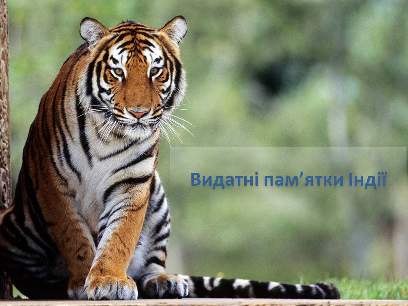 Презентація на тему «Республіка Індія» (варіант 1) - Слайд #15 Презентація на тему «Республіка Індія» (варіант 1) - Слайд #15