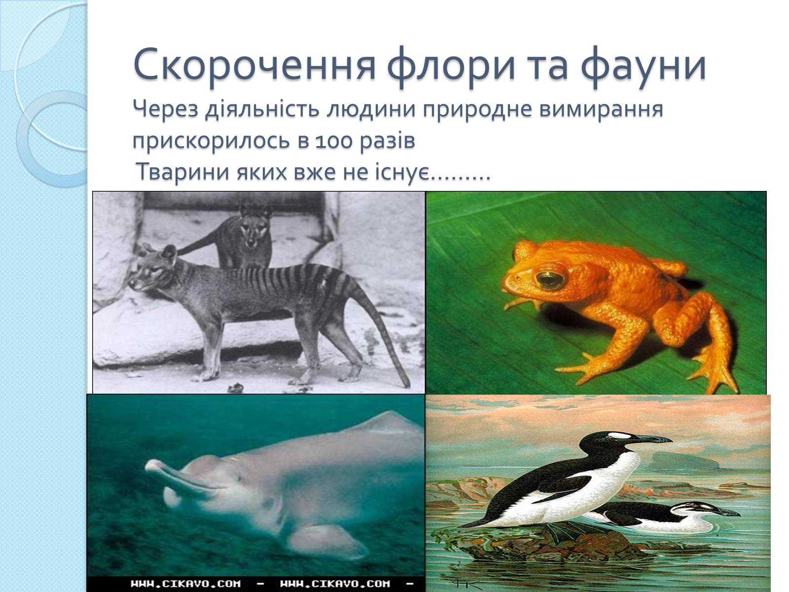 Презентація на тему «Глобальні проблеми людства» (варіант 26) - Слайд #15 Презентація на тему «Глобальні проблеми людства» (варіант 26) - Слайд #15