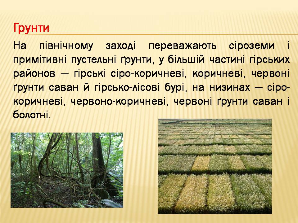 Презентація на тему «Мексика» (варіант 16) - Слайд #6 Презентація на тему «Мексика» (варіант 16) - Слайд #6