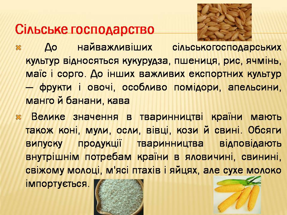 Презентація на тему «Мексика» (варіант 16) - Слайд #8 Презентація на тему «Мексика» (варіант 16) - Слайд #8