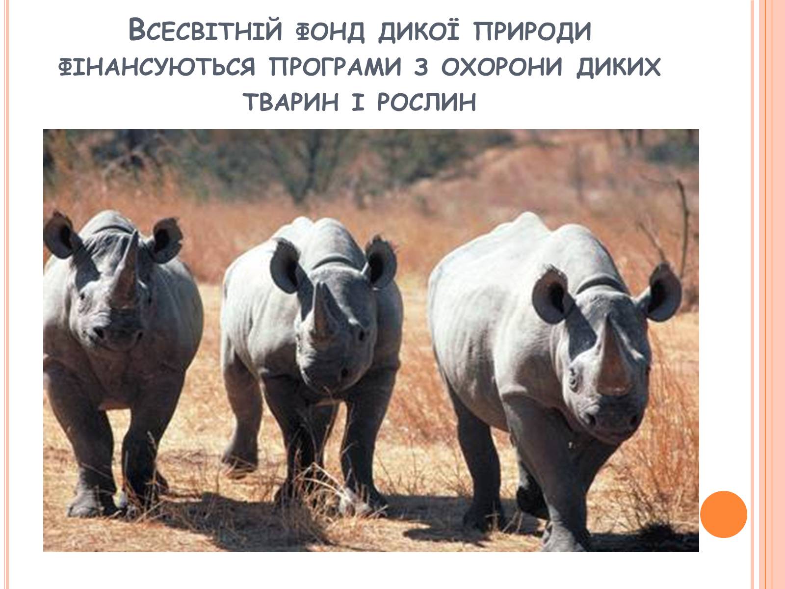 Презентація на тему «Глобальні проблеми людства» (варіант 21) - Слайд #13 Презентація на тему «Глобальні проблеми людства» (варіант 21) - Слайд #13