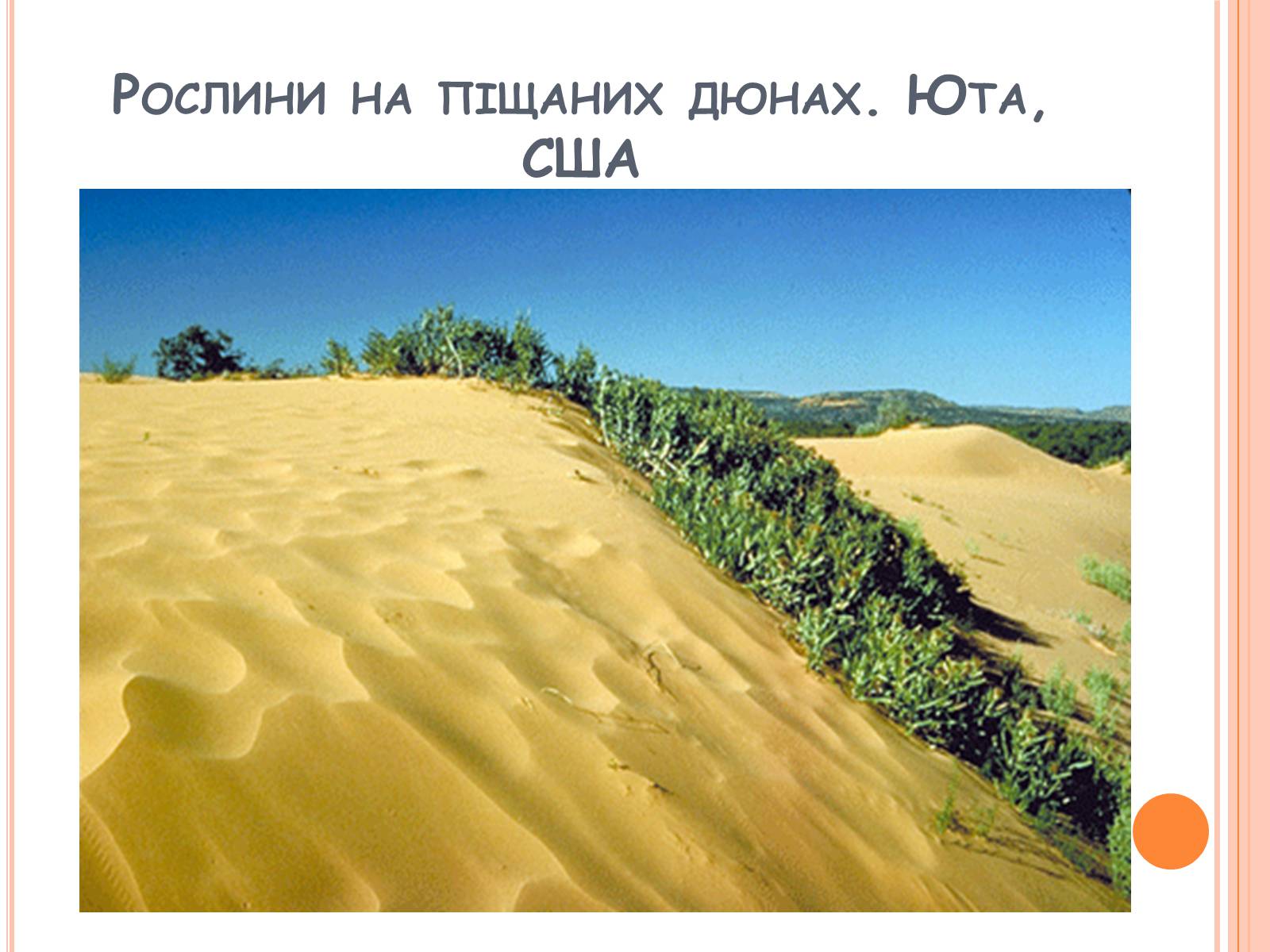 Презентація на тему «Глобальні проблеми людства» (варіант 21) - Слайд #8 Презентація на тему «Глобальні проблеми людства» (варіант 21) - Слайд #8