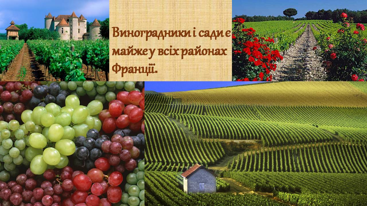 Презентація на тему «Франція» (варіант 40) - Слайд #15 Презентація на тему «Франція» (варіант 40) - Слайд #15