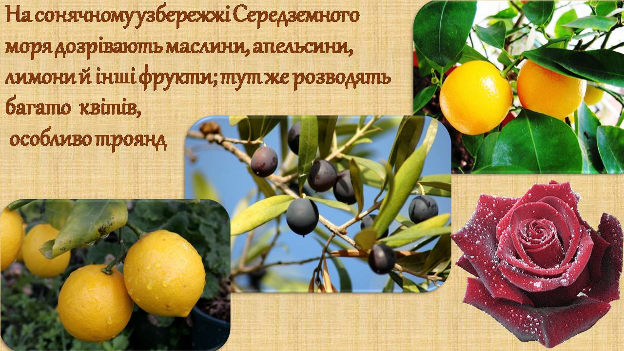 Презентація на тему «Франція» (варіант 40) - Слайд #16 Презентація на тему «Франція» (варіант 40) - Слайд #16