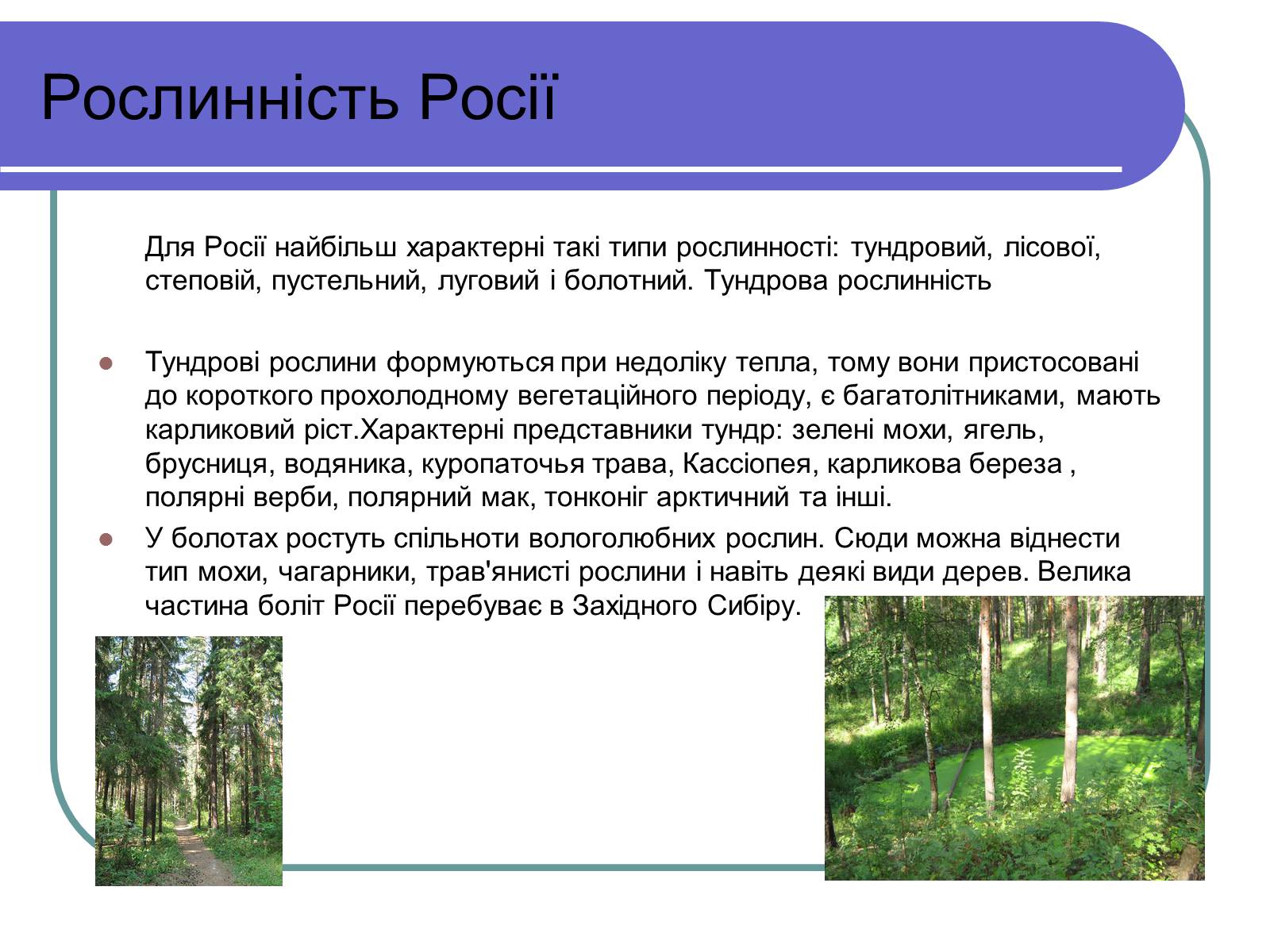 Презентація на тему «Росія» (варіант 13) - Слайд #7 Презентація на тему «Росія» (варіант 13) - Слайд #7