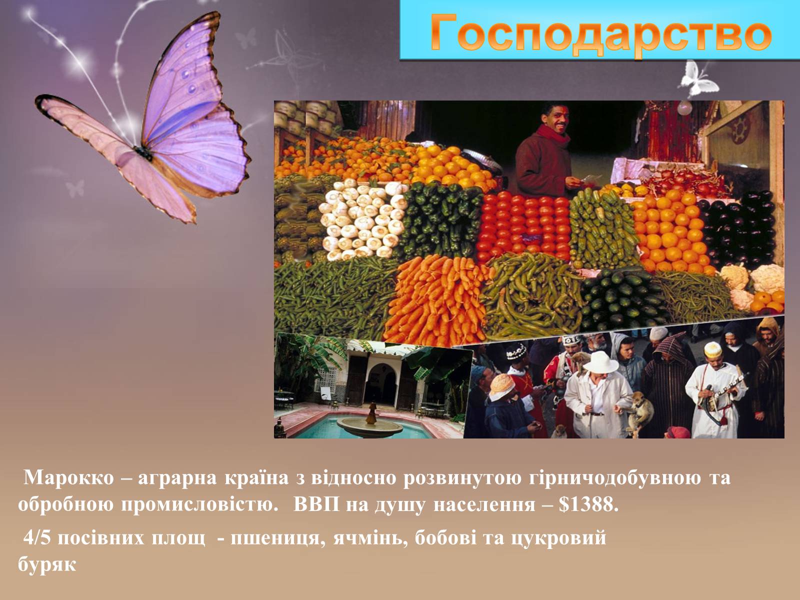 Презентація на тему «Марокоо» - Слайд #13 Презентація на тему «Марокоо» - Слайд #13