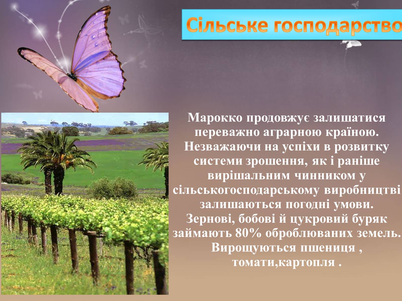 Презентація на тему «Марокоо» - Слайд #14 Презентація на тему «Марокоо» - Слайд #14