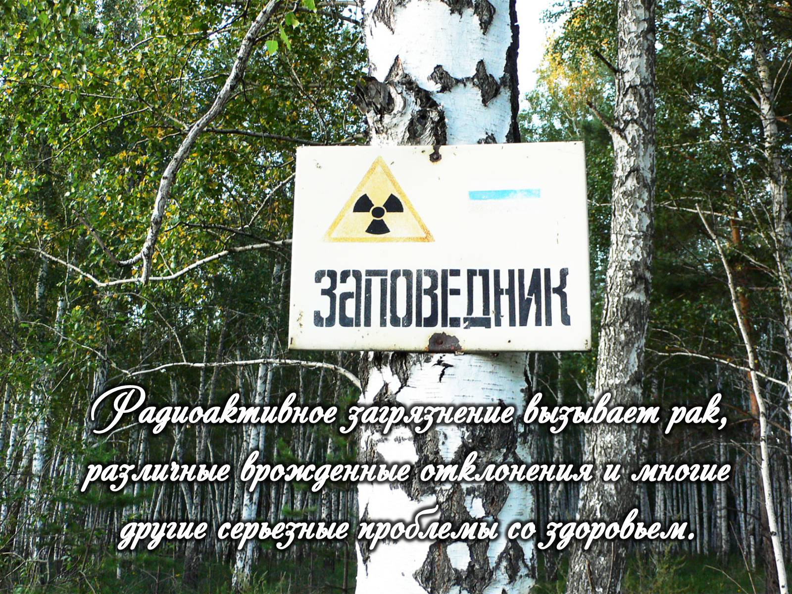 Презентація на тему «Категории закгрязнения окружающей среды» - Слайд #16 Презентація на тему «Категории закгрязнения окружающей среды» - Слайд #16