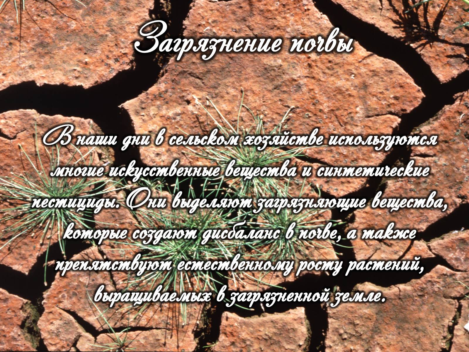 Презентація на тему «Категории закгрязнения окружающей среды» - Слайд #17 Презентація на тему «Категории закгрязнения окружающей среды» - Слайд #17
