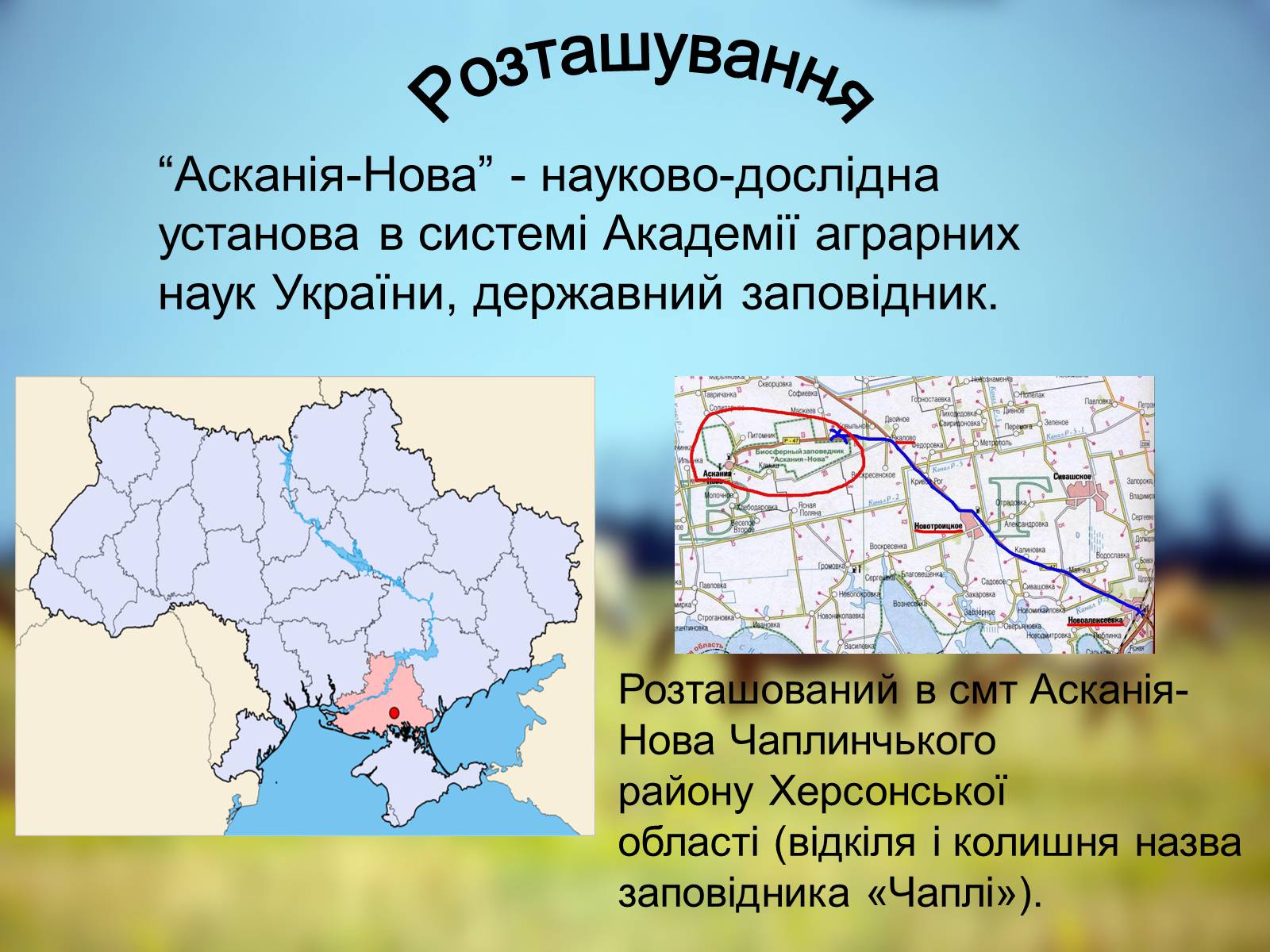 Презентація на тему «Біосферний Заповідник» - Слайд #2 Презентація на тему «Біосферний Заповідник» - Слайд #2