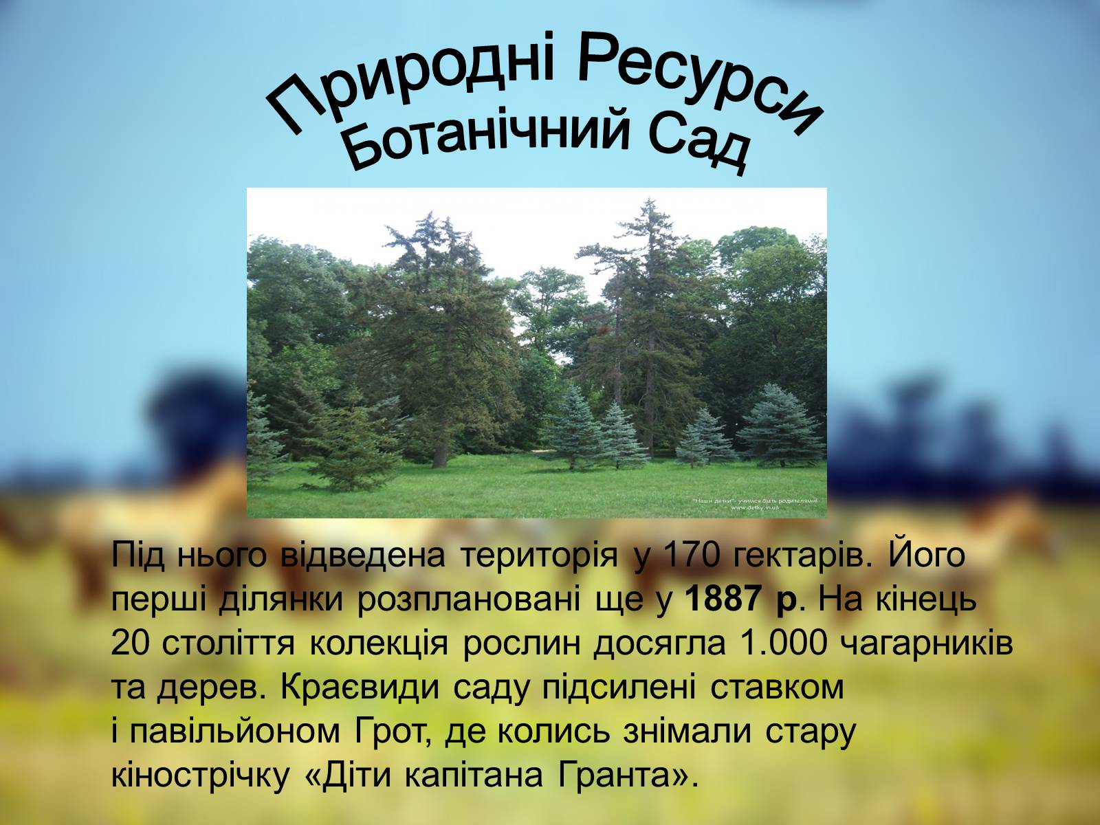 Презентація на тему «Біосферний Заповідник» - Слайд #4 Презентація на тему «Біосферний Заповідник» - Слайд #4