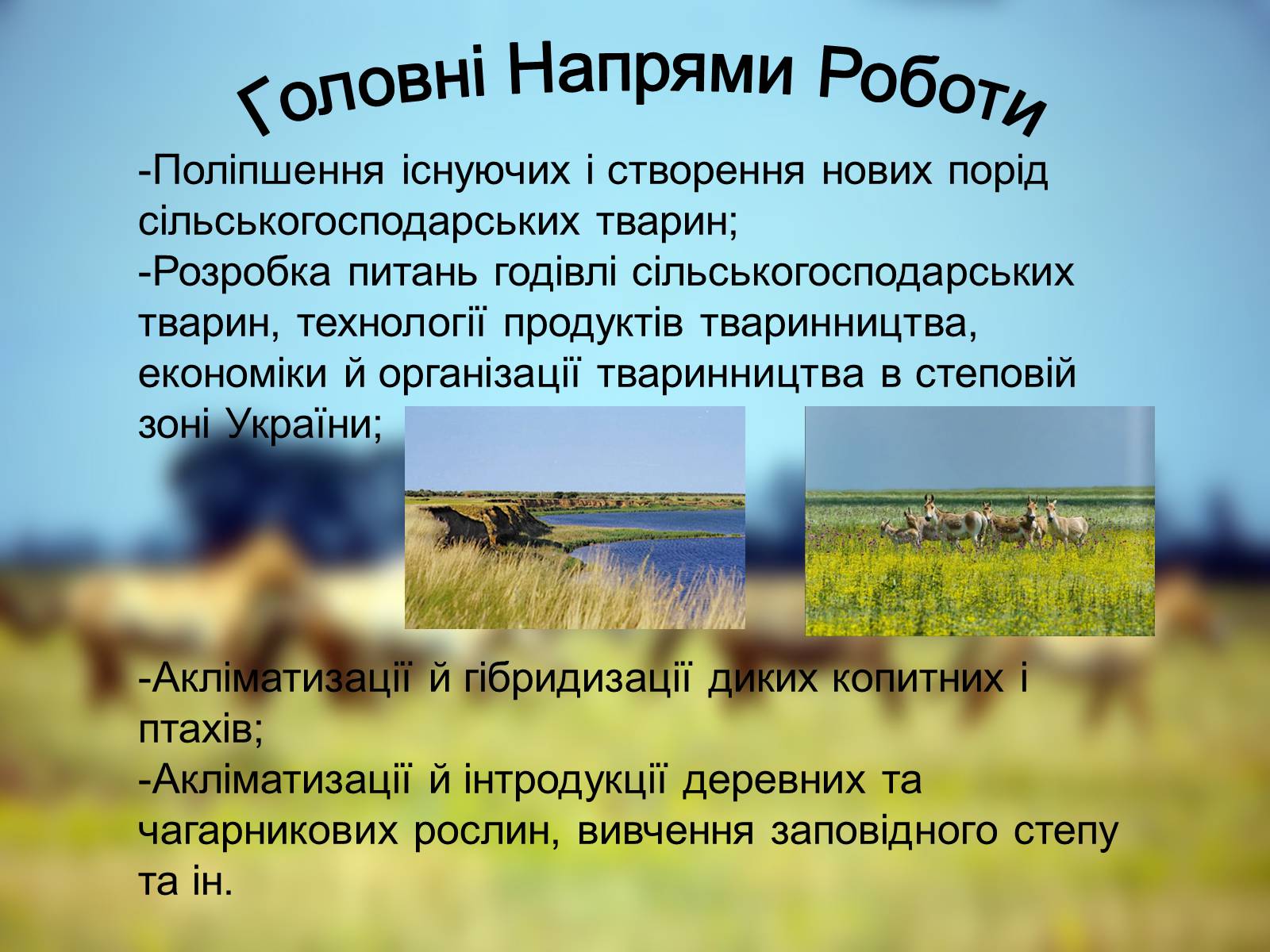 Презентація на тему «Біосферний Заповідник» - Слайд #7 Презентація на тему «Біосферний Заповідник» - Слайд #7