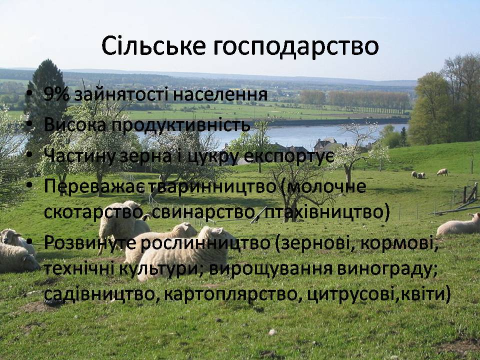Презентація на тему «Франція» (варіант 48) - Слайд #15 Презентація на тему «Франція» (варіант 48) - Слайд #15