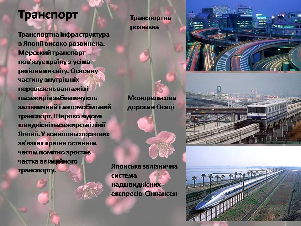 Презентація на тему «Японія» (варіант 53) - Слайд #12 Презентація на тему «Японія» (варіант 53) - Слайд #12
