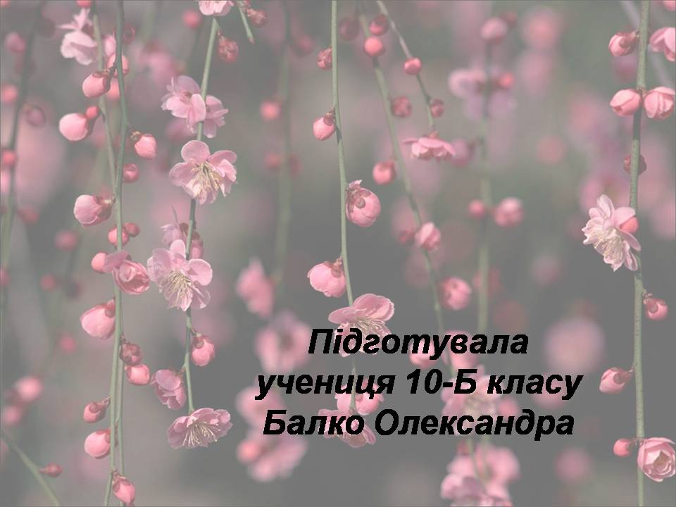 Презентація на тему «Японія» (варіант 53) - Слайд #32 Презентація на тему «Японія» (варіант 53) - Слайд #32