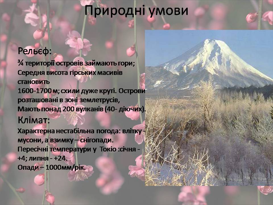 Презентація на тему «Японія» (варіант 53) - Слайд #8 Презентація на тему «Японія» (варіант 53) - Слайд #8