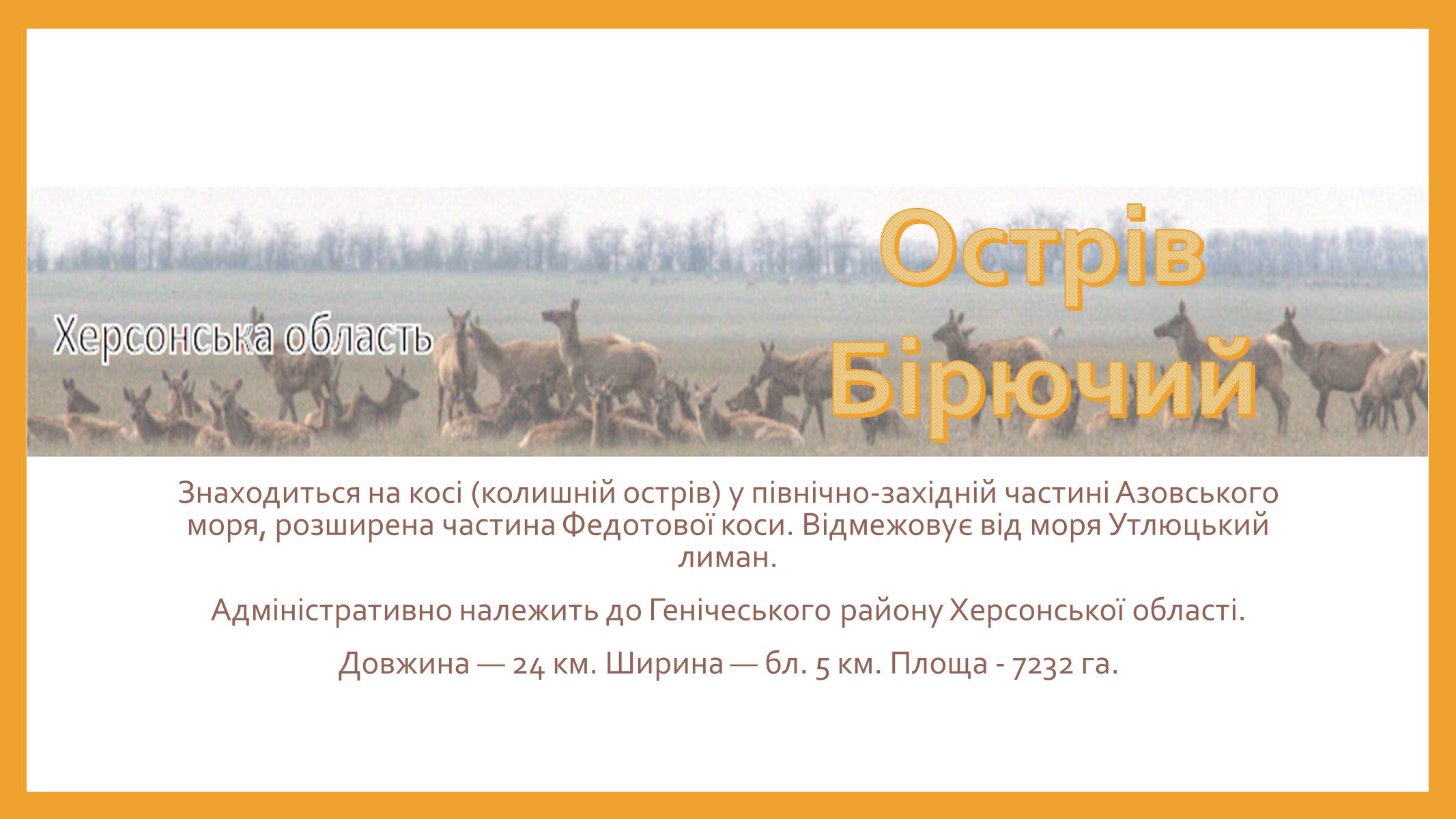 Презентація на тему «Острів Бірючий» - Слайд #1 Презентація на тему «Острів Бірючий» - Слайд #1