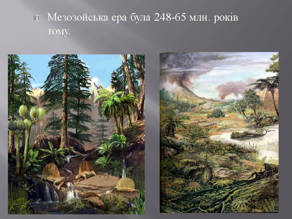 Презентація на тему «Розвиток органічного світу в мезозойську еру» (варіант 2) - Слайд #3 Презентація на тему «Розвиток органічного світу в мезозойську еру» (варіант 2) - Слайд #3