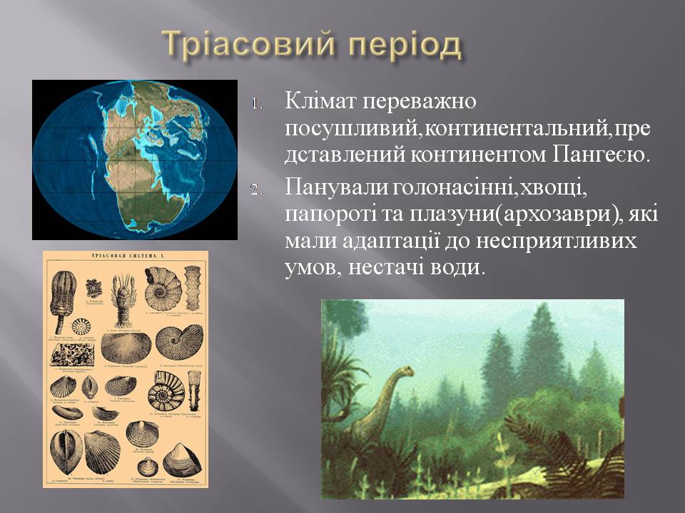 Презентація на тему «Розвиток органічного світу в мезозойську еру» (варіант 2) - Слайд #5 Презентація на тему «Розвиток органічного світу в мезозойську еру» (варіант 2) - Слайд #5