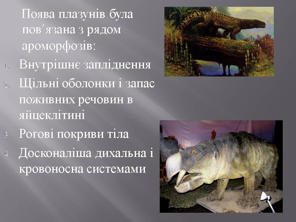 Презентація на тему «Розвиток органічного світу в мезозойську еру» (варіант 2) - Слайд #6 Презентація на тему «Розвиток органічного світу в мезозойську еру» (варіант 2) - Слайд #6