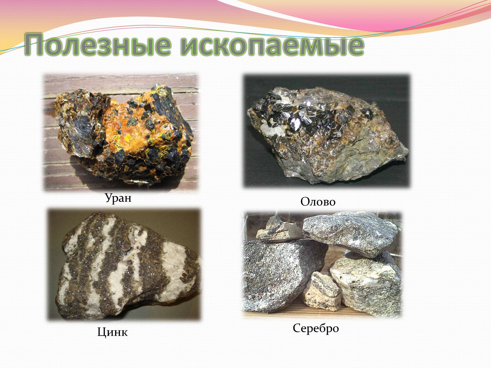 Презентація на тему «Аргентинская Республика» - Слайд #10 Презентація на тему «Аргентинская Республика» - Слайд #10