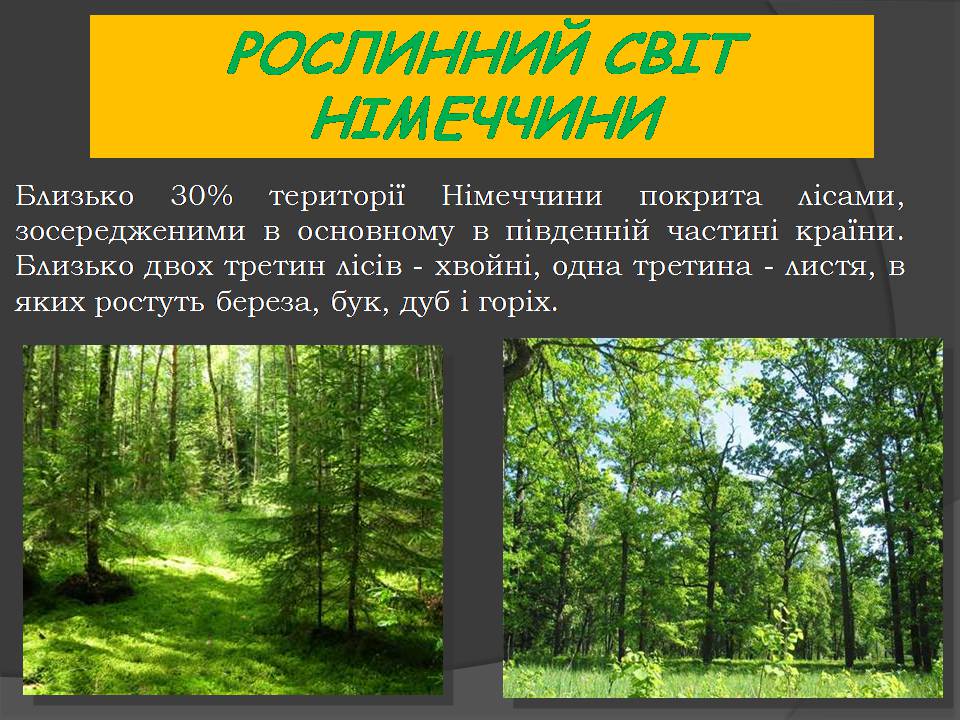Презентація на тему «Німеччина» (варіант 26) - Слайд #8 Презентація на тему «Німеччина» (варіант 26) - Слайд #8