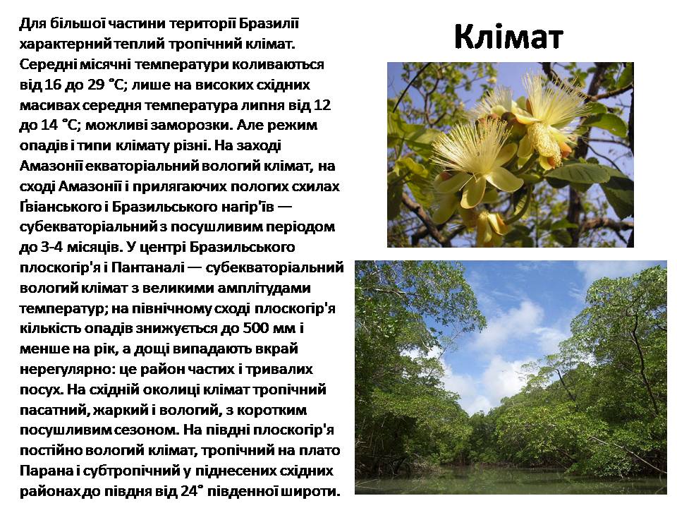 Презентація на тему «Бразилія» (варіант 17) - Слайд #4 Презентація на тему «Бразилія» (варіант 17) - Слайд #4
