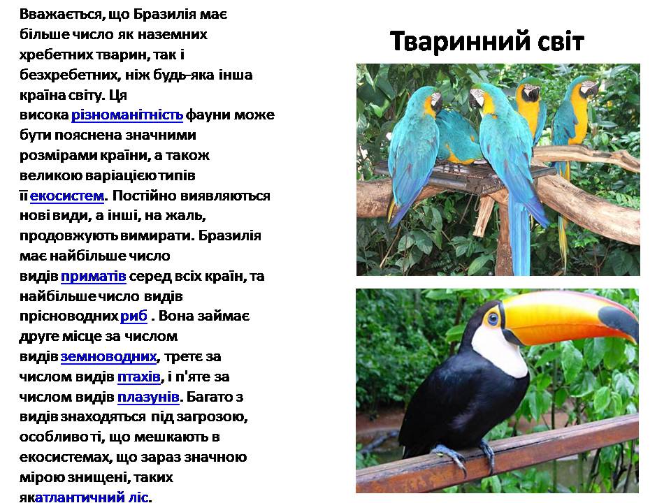 Презентація на тему «Бразилія» (варіант 17) - Слайд #6 Презентація на тему «Бразилія» (варіант 17) - Слайд #6