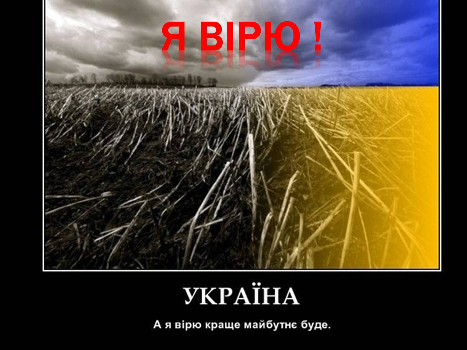 Презентація на тему «Сучасне і майбутнє Сумщини» - Слайд #12 Презентація на тему «Сучасне і майбутнє Сумщини» - Слайд #12