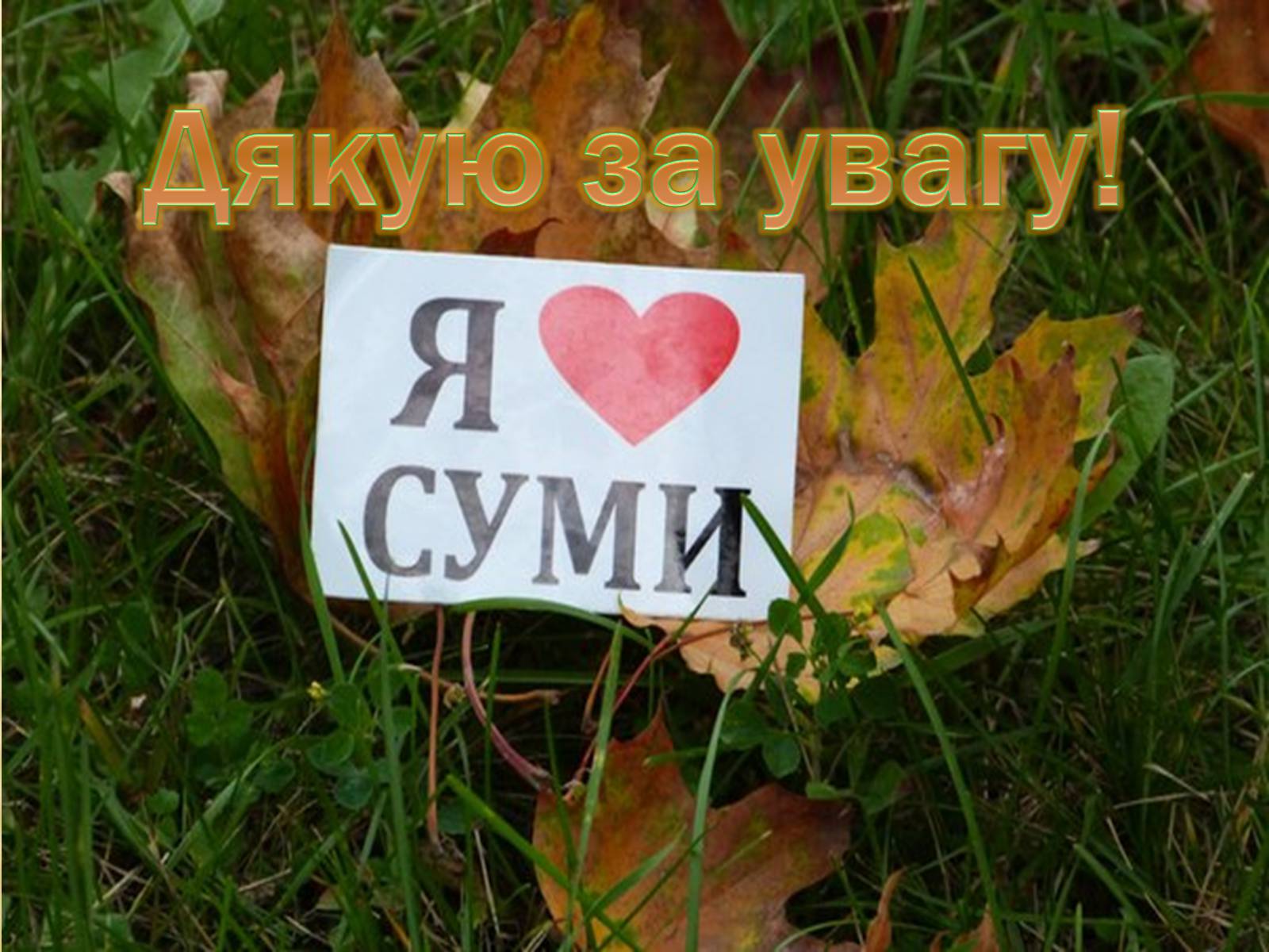 Презентація на тему «Сучасне і майбутнє Сумщини» - Слайд #16 Презентація на тему «Сучасне і майбутнє Сумщини» - Слайд #16