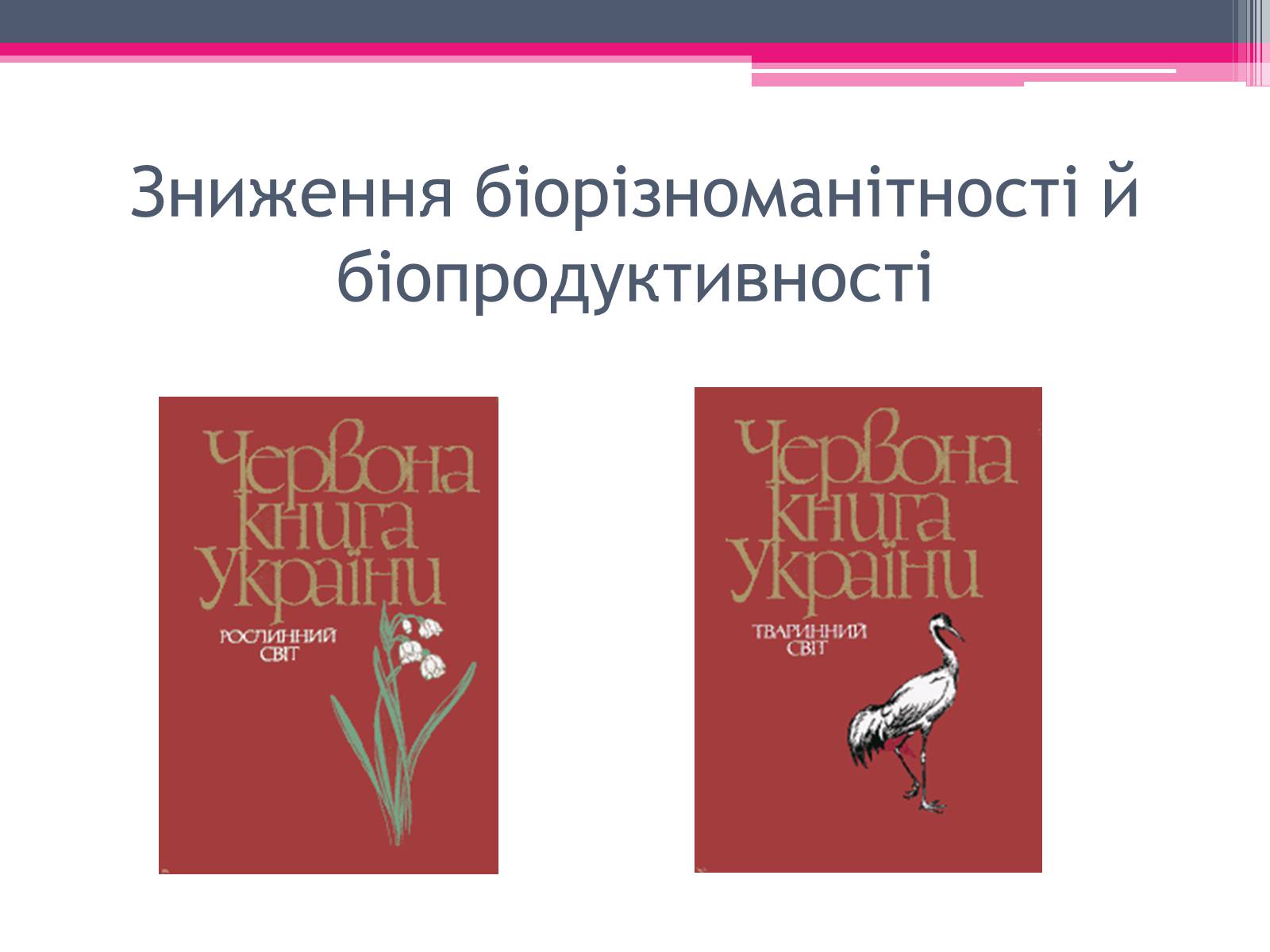 Презентація на тему «Екологічні проблеми» (варіант 4) - Слайд #22 Презентація на тему «Екологічні проблеми» (варіант 4) - Слайд #22