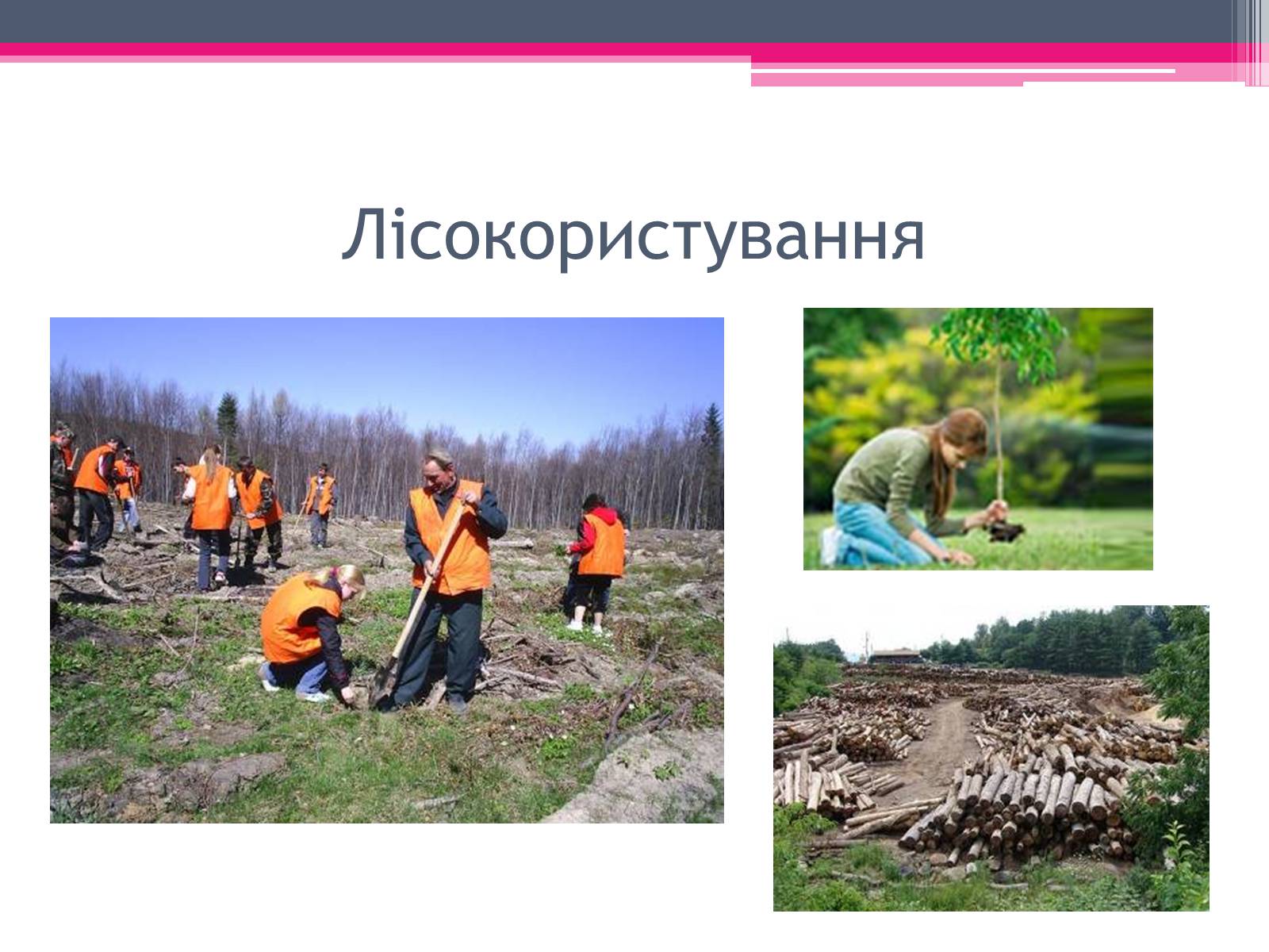 Презентація на тему «Екологічні проблеми» (варіант 4) - Слайд #29 Презентація на тему «Екологічні проблеми» (варіант 4) - Слайд #29