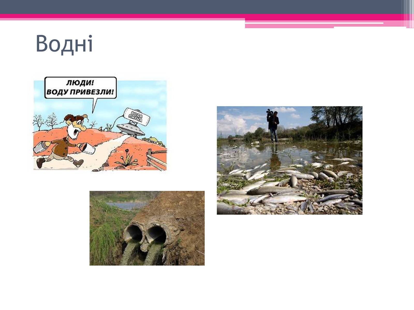Презентація на тему «Екологічні проблеми» (варіант 4) - Слайд #4 Презентація на тему «Екологічні проблеми» (варіант 4) - Слайд #4