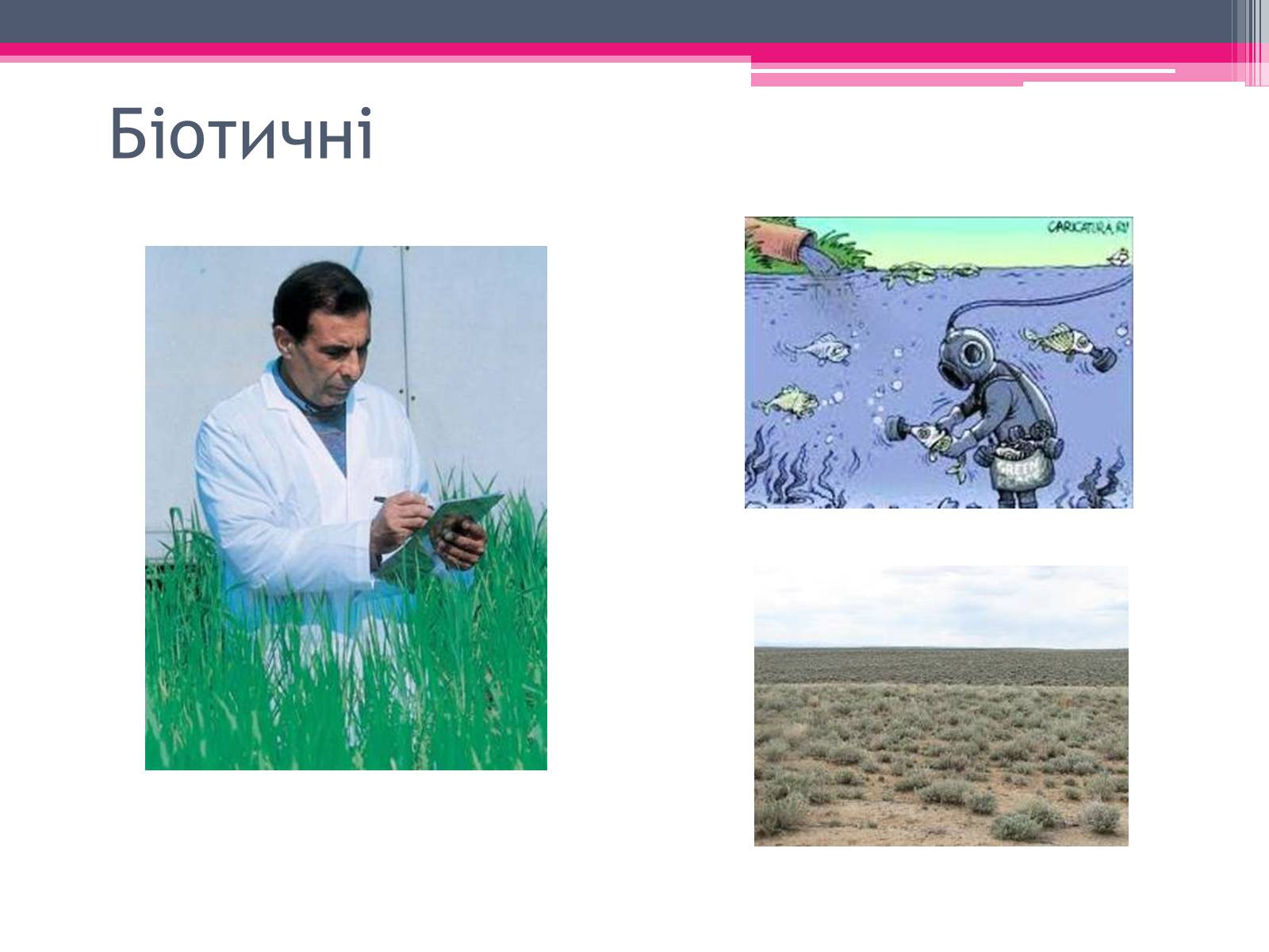 Презентація на тему «Екологічні проблеми» (варіант 4) - Слайд #7 Презентація на тему «Екологічні проблеми» (варіант 4) - Слайд #7