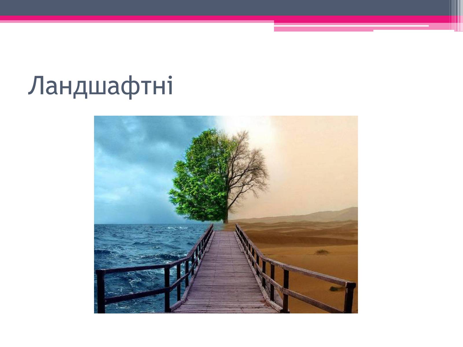 Презентація на тему «Екологічні проблеми» (варіант 4) - Слайд #8 Презентація на тему «Екологічні проблеми» (варіант 4) - Слайд #8