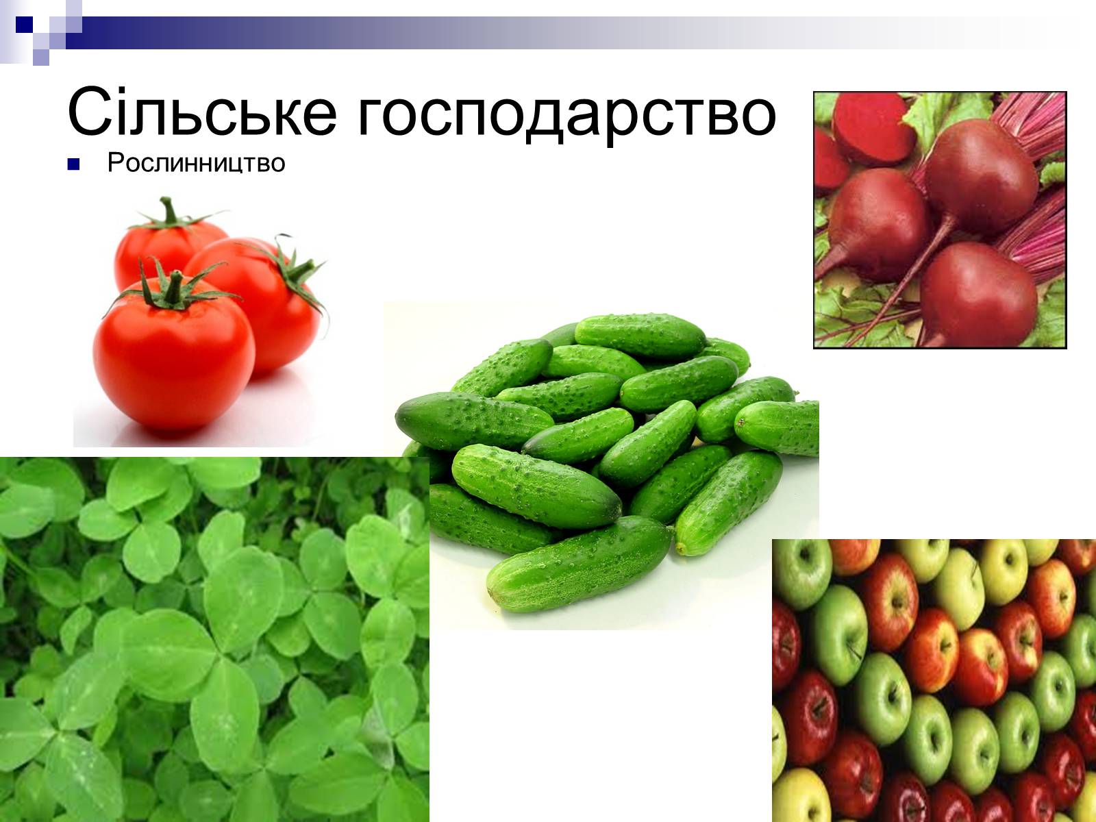 Презентація на тему «Фінлядндія» - Слайд #18 Презентація на тему «Фінлядндія» - Слайд #18