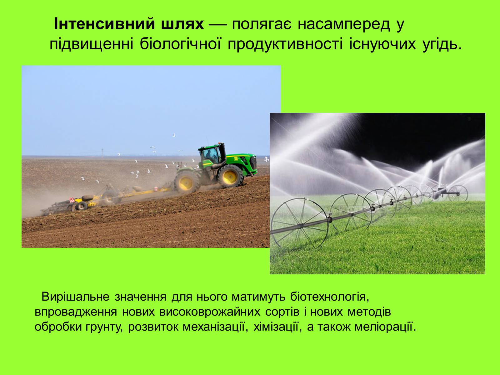 Презентація на тему «Глобальні проблеми» (варіант 1) - Слайд #10 Презентація на тему «Глобальні проблеми» (варіант 1) - Слайд #10