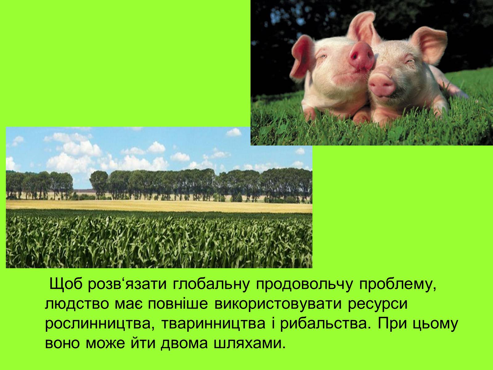 Презентація на тему «Глобальні проблеми» (варіант 1) - Слайд #8 Презентація на тему «Глобальні проблеми» (варіант 1) - Слайд #8