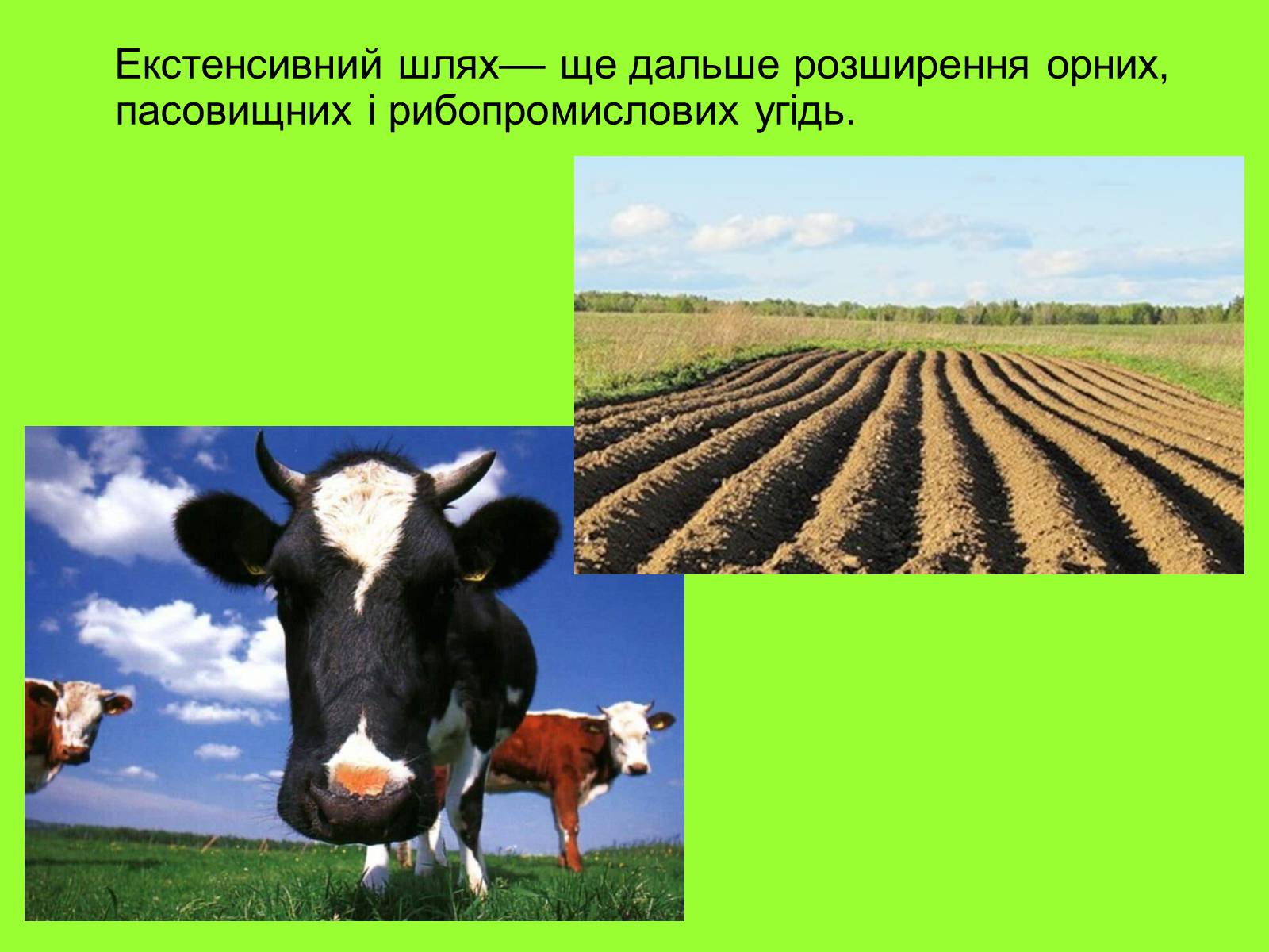 Презентація на тему «Глобальні проблеми» (варіант 1) - Слайд #9 Презентація на тему «Глобальні проблеми» (варіант 1) - Слайд #9