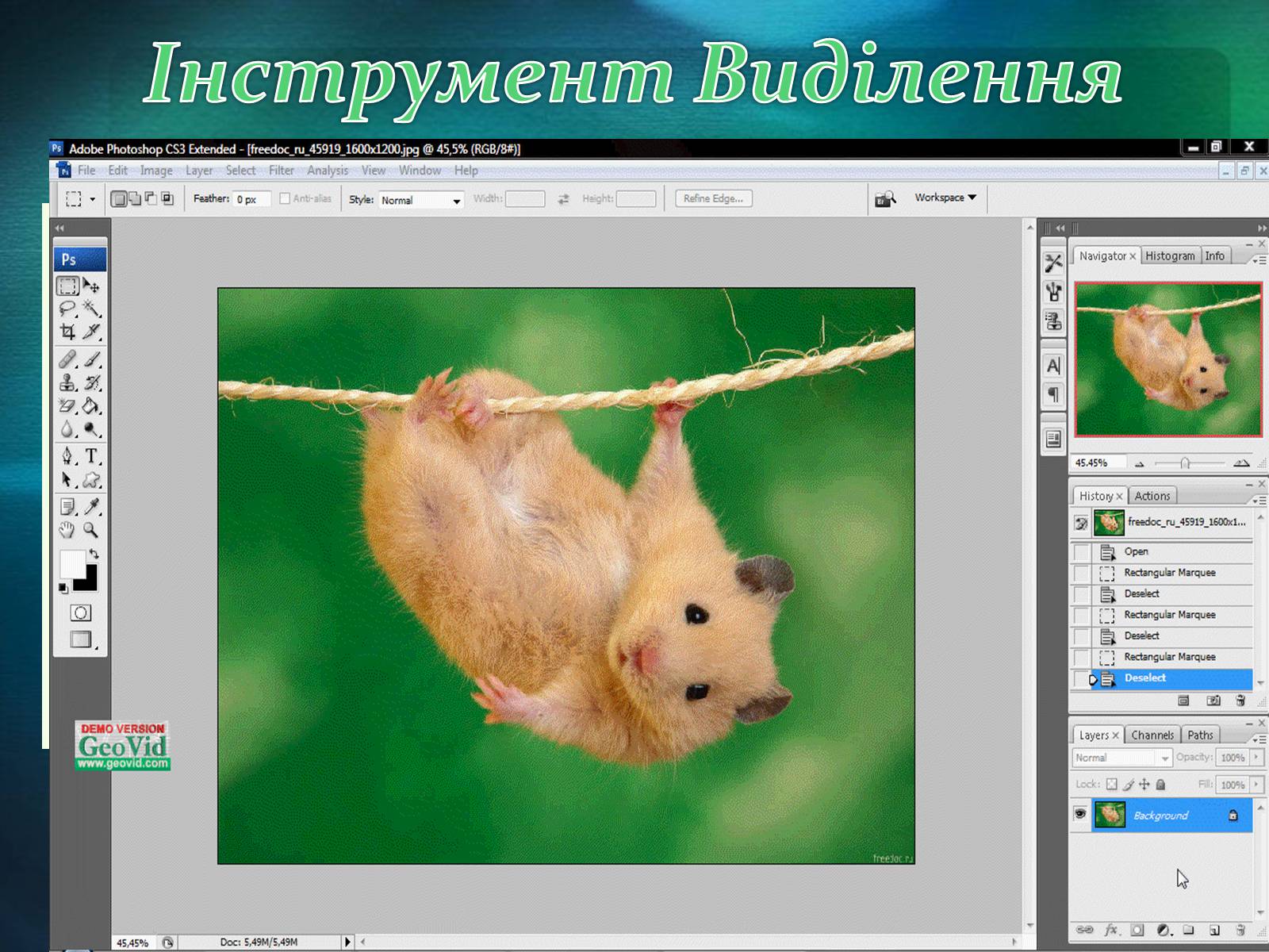 Презентація на тему «Графічний редактор Фотошоп» (варіант 2) - Слайд #30 Презентація на тему «Графічний редактор Фотошоп» (варіант 2) - Слайд #30