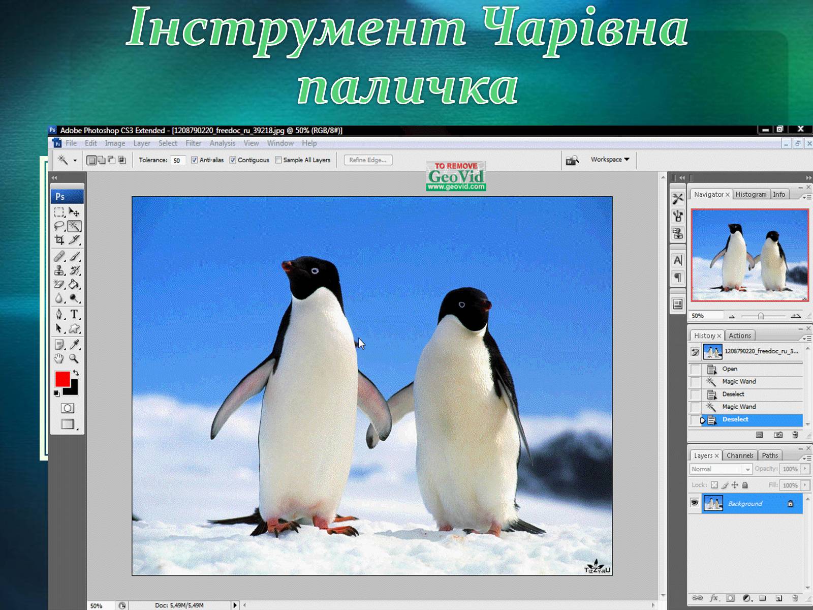 Презентація на тему «Графічний редактор Фотошоп» (варіант 2) - Слайд #33 Презентація на тему «Графічний редактор Фотошоп» (варіант 2) - Слайд #33