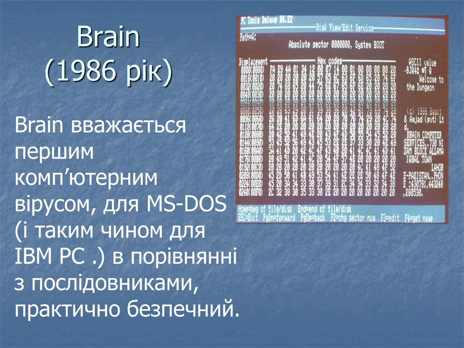 Презентація на тему «Цікаві комп’ютерні віруси» - Слайд #5 Презентація на тему «Цікаві комп’ютерні віруси» - Слайд #5