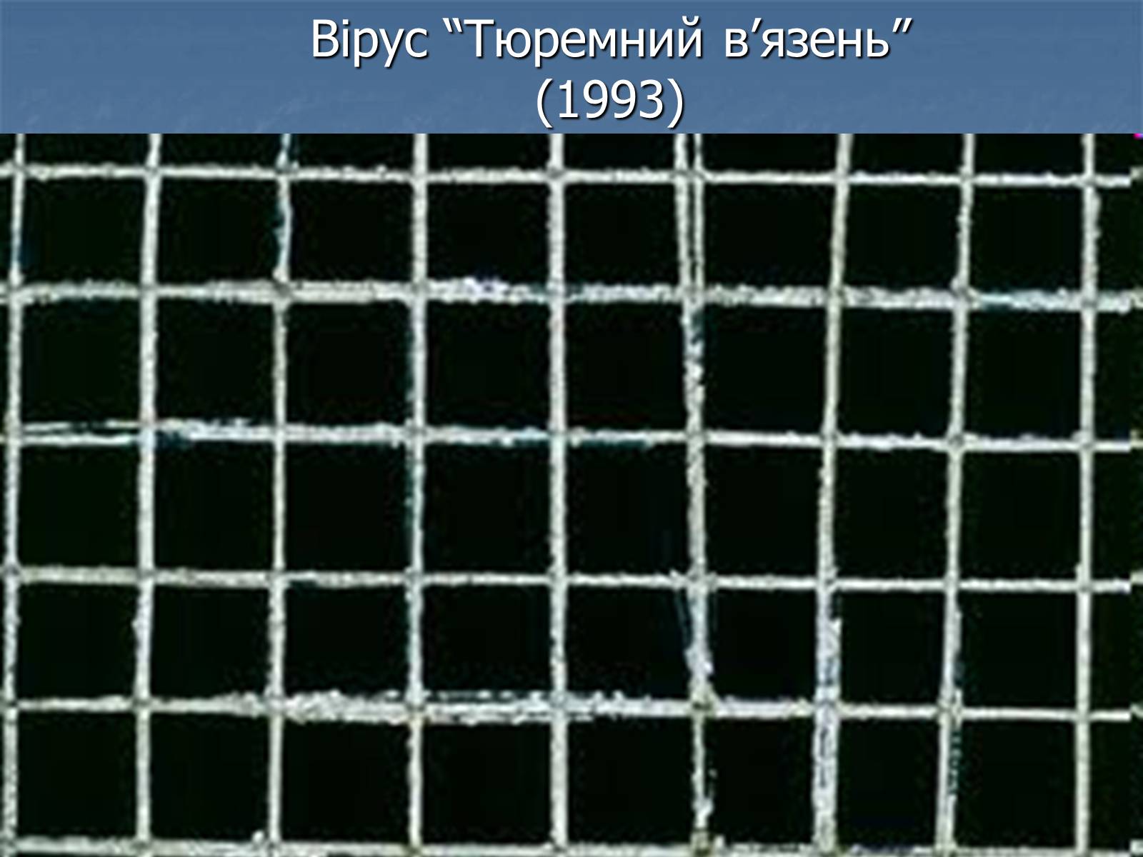 Презентація на тему «Цікаві комп’ютерні віруси» - Слайд #8 Презентація на тему «Цікаві комп’ютерні віруси» - Слайд #8
