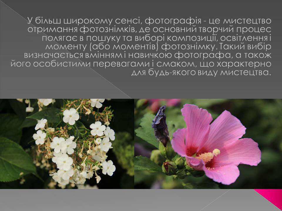 Презентація на тему «Історія Фотографії» - Слайд #3 Презентація на тему «Історія Фотографії» - Слайд #3